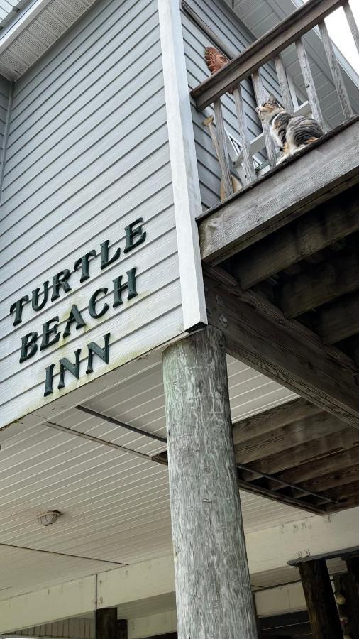 Indian Pass Turtle Beach Inn المظهر الخارجي الصورة
